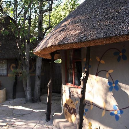 מאון Discovery Bed And Breakfast מראה חיצוני תמונה