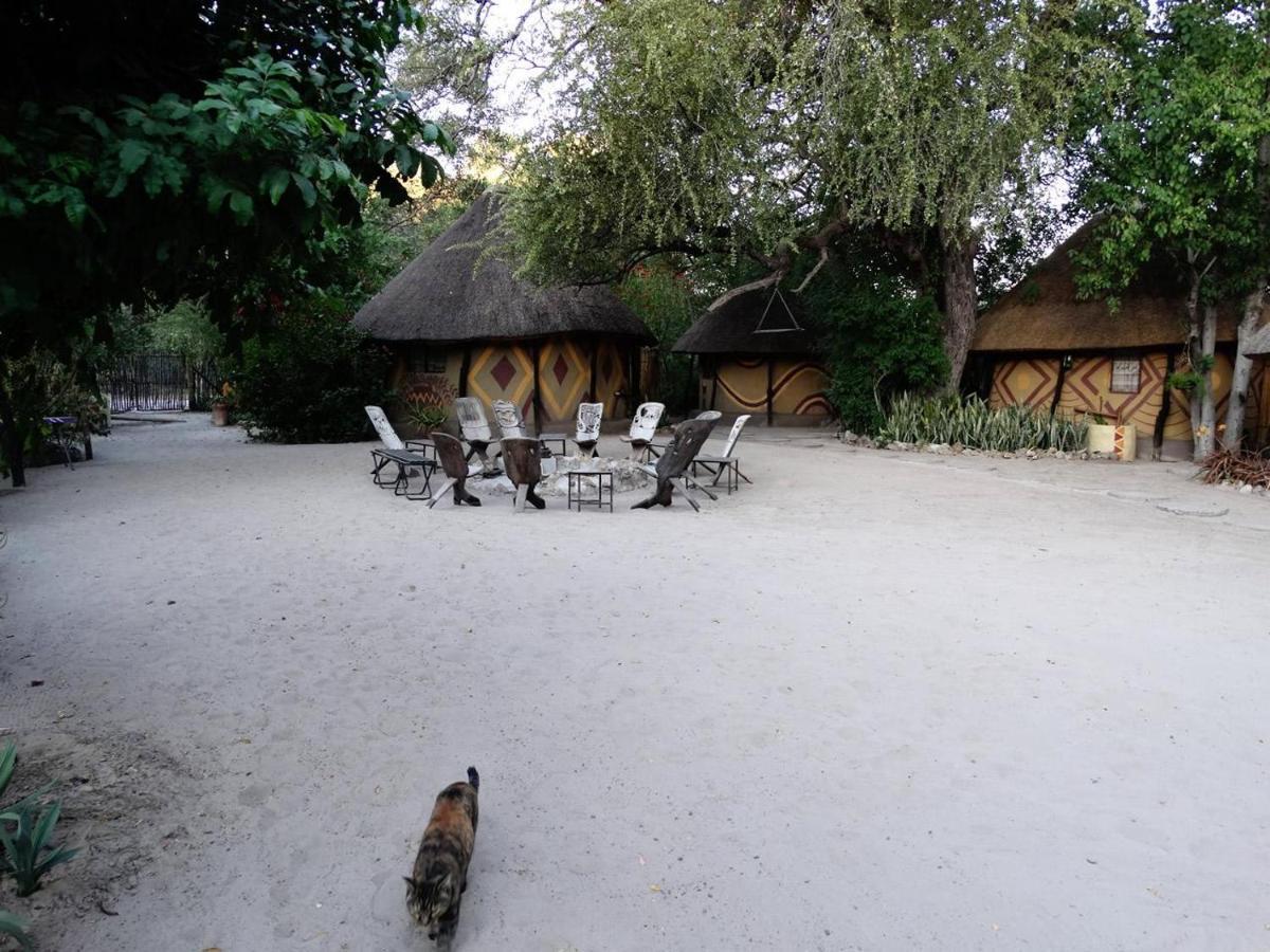 מאון Discovery Bed And Breakfast מראה חיצוני תמונה