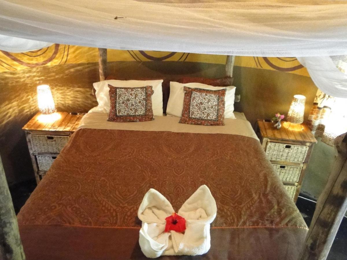 מאון Discovery Bed And Breakfast מראה חיצוני תמונה